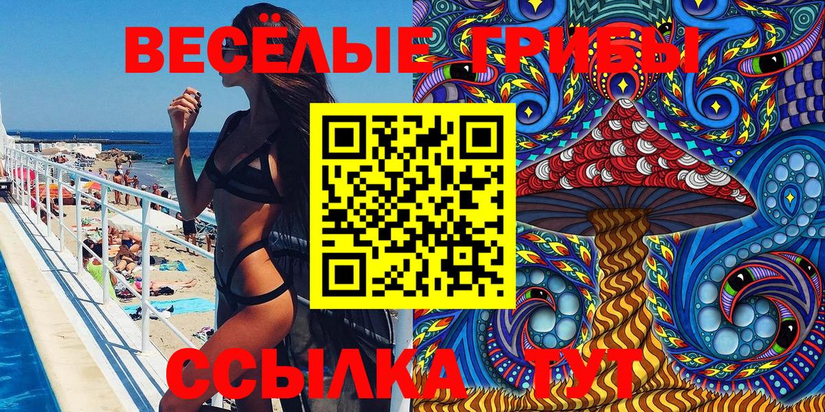 Клинцы  Галлюциногенные грибы Psilocybe  продажа наркотиков  Вход с VPN 