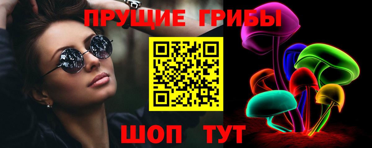 Галлюциногенные грибы Cubensis Клинцы