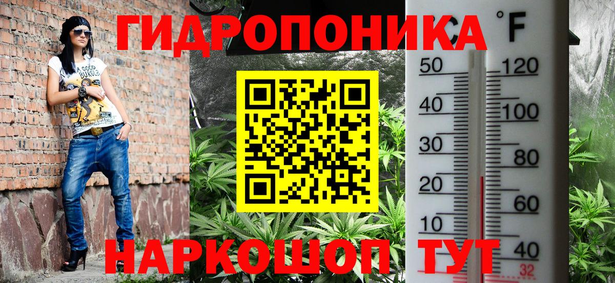 Бошки Шишки гибрид  Бошки Шишки VHQ  Клинцы  Вход с VPN 
